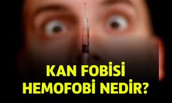 Kan Fobisi Hemofobi Nedir? Kan Görünce Bayılmanın Nedenleri