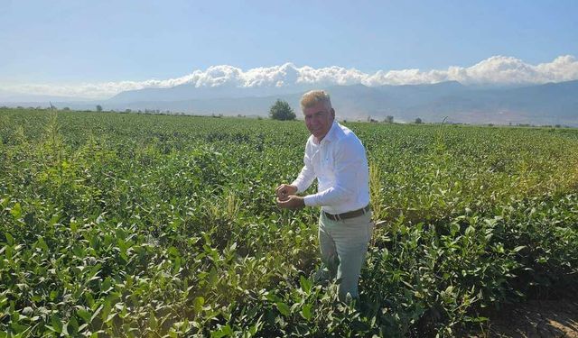 Belen İlçe Başkanı Çelik'ten Dünya Kadın Çiftçiler Günü Mesajı